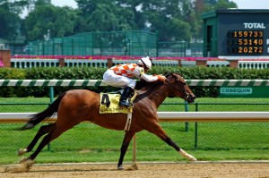 Kentucky Derby Longshot